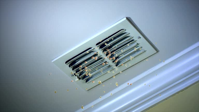 Best General Air Duct Cleaning  in Rancho Viejo, TX